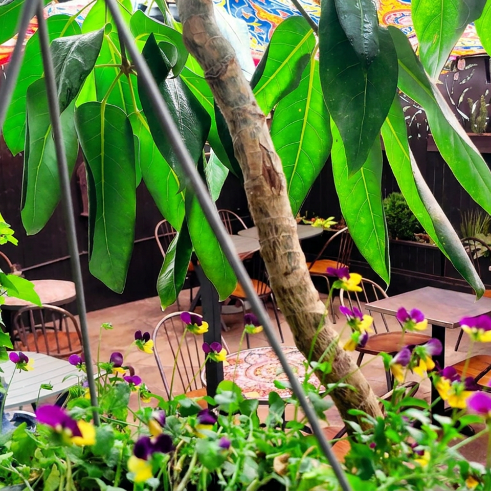 Lush garden restaurant courtyard with colorful flowers, tropical plants, patterned awnings, and scattered outdoor tables and chairs.